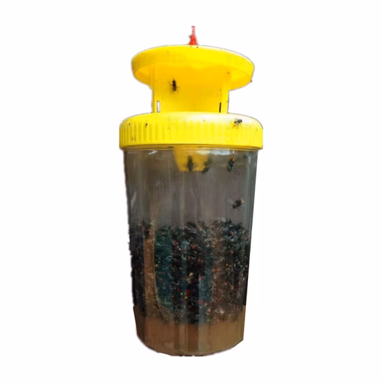 Piège à bouteille en plastique pour attrape-mouches de jardin extérieur, avec appât attractif
